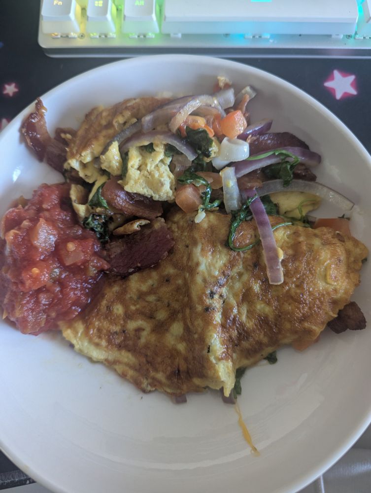 A bomb tasting and mid looking omelette w red onion, arugula, tomato, and a big glob of salsa. Definitely omelette-like but did fall apart slightly. 6/10 try in LOOKS!