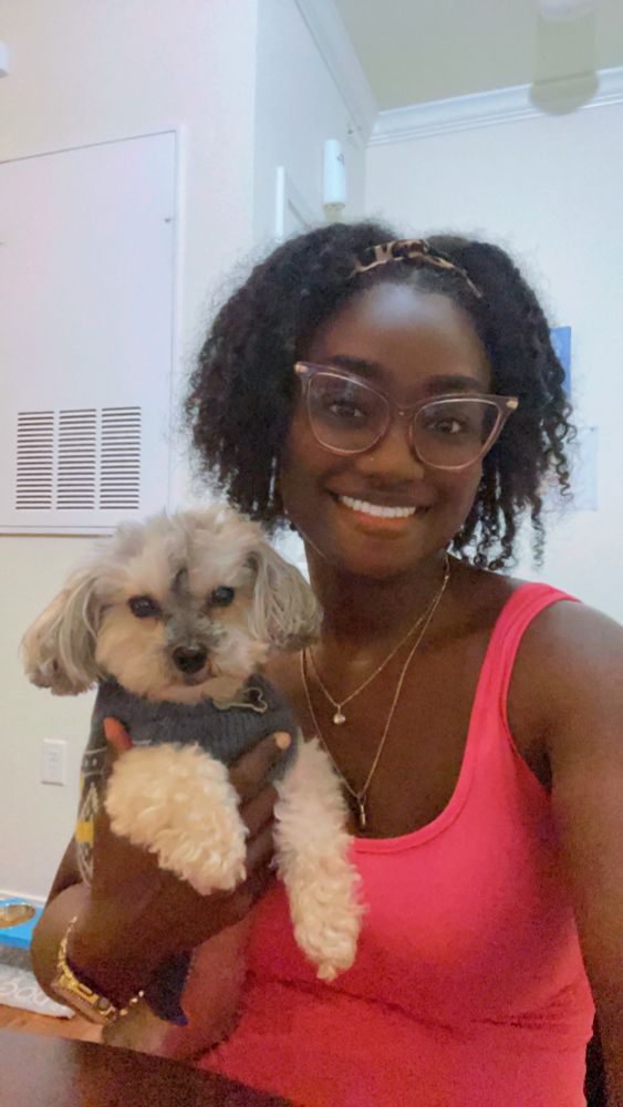 Girl in pink dress holding small dog