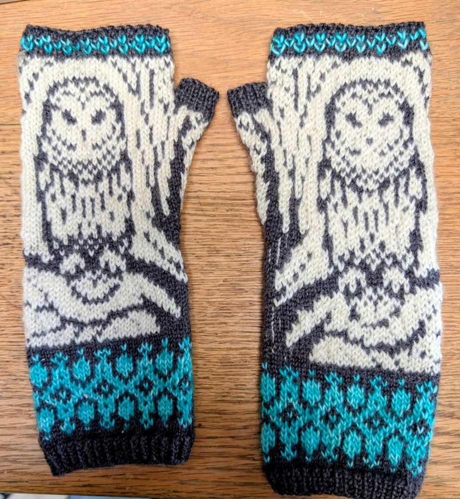 A pair of hand knit fingerless mitts. Stranded colorwork forms a Barred Owl sitting on a tree and geometric borders.