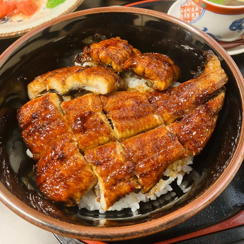 鰻の蒲焼き丼