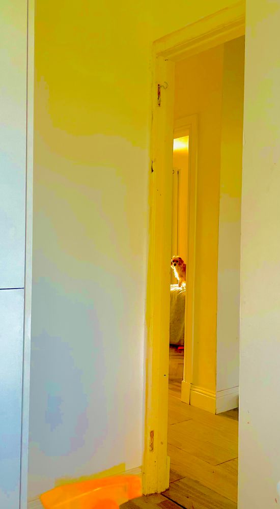 𝑴𝒚 𝒅𝒐𝒈, 𝒕𝒉𝒆 𝒘𝒂𝒕𝒄𝒉𝒆𝒓..
