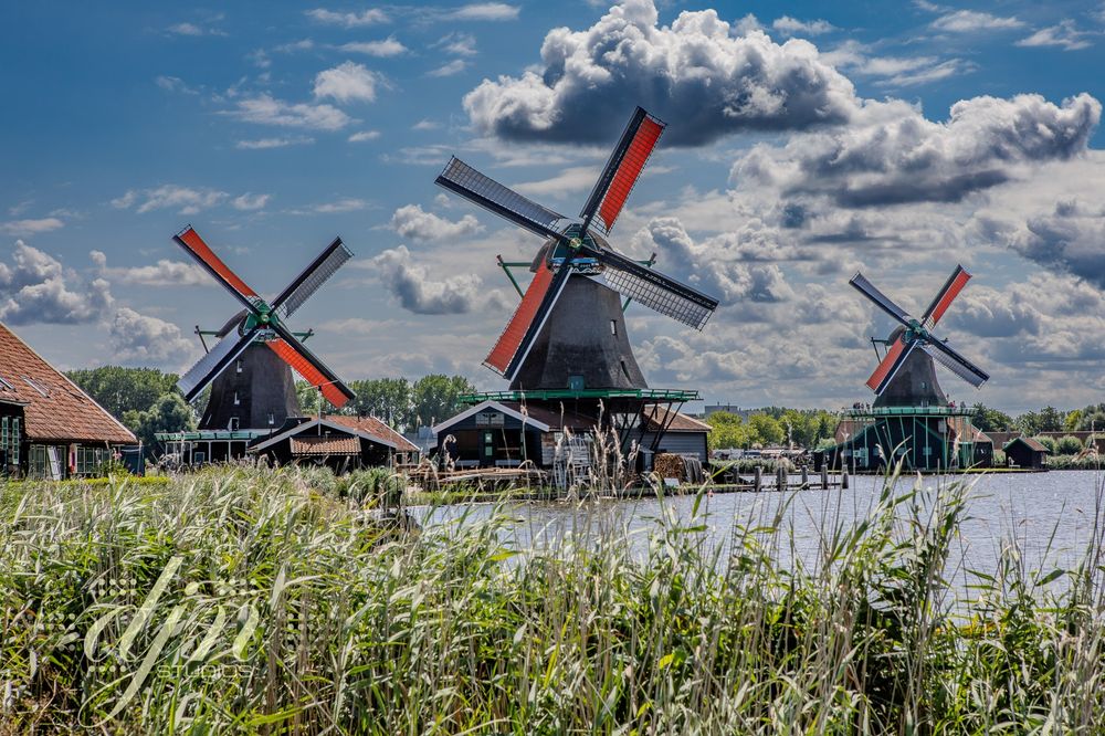 A line of three 17th-18th century dutch windmills in Zaanse Schans. The windmills remain in function today, grinding meal and minerals, sawing lumber, pressing oils... The mills are wooden structures, with thatch roofs. The blades of the mills are a wooden lattice connected the cloth, sail-like material to catch the wind. 