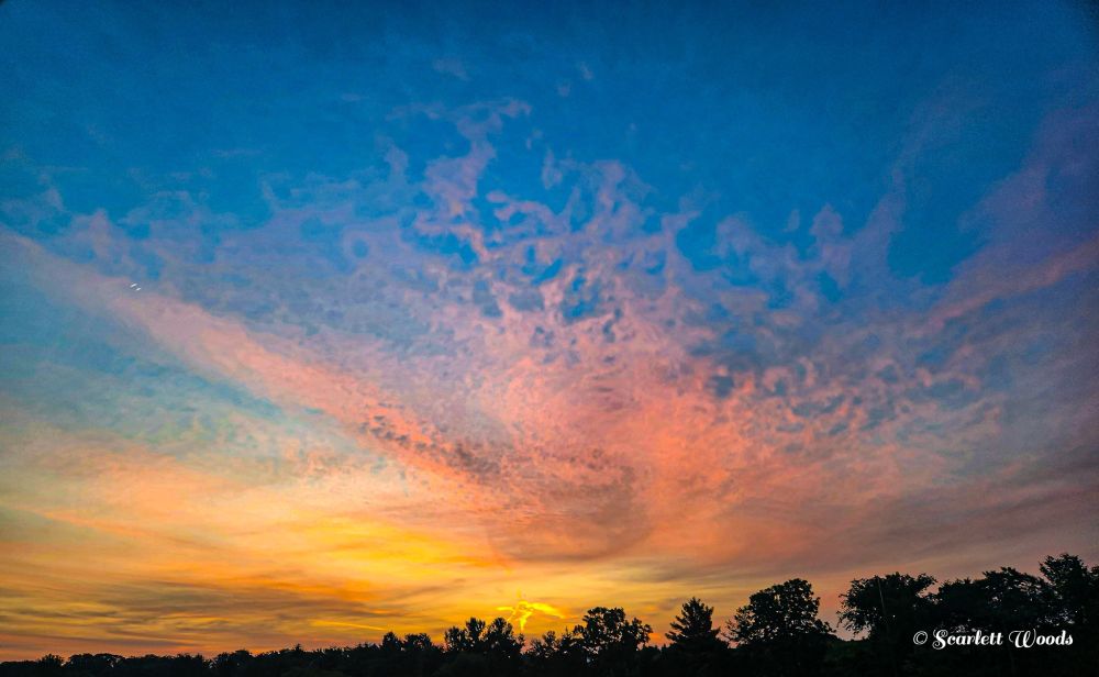 Golden sun rising over darkened trees with soft pink clouds above and blue sky.