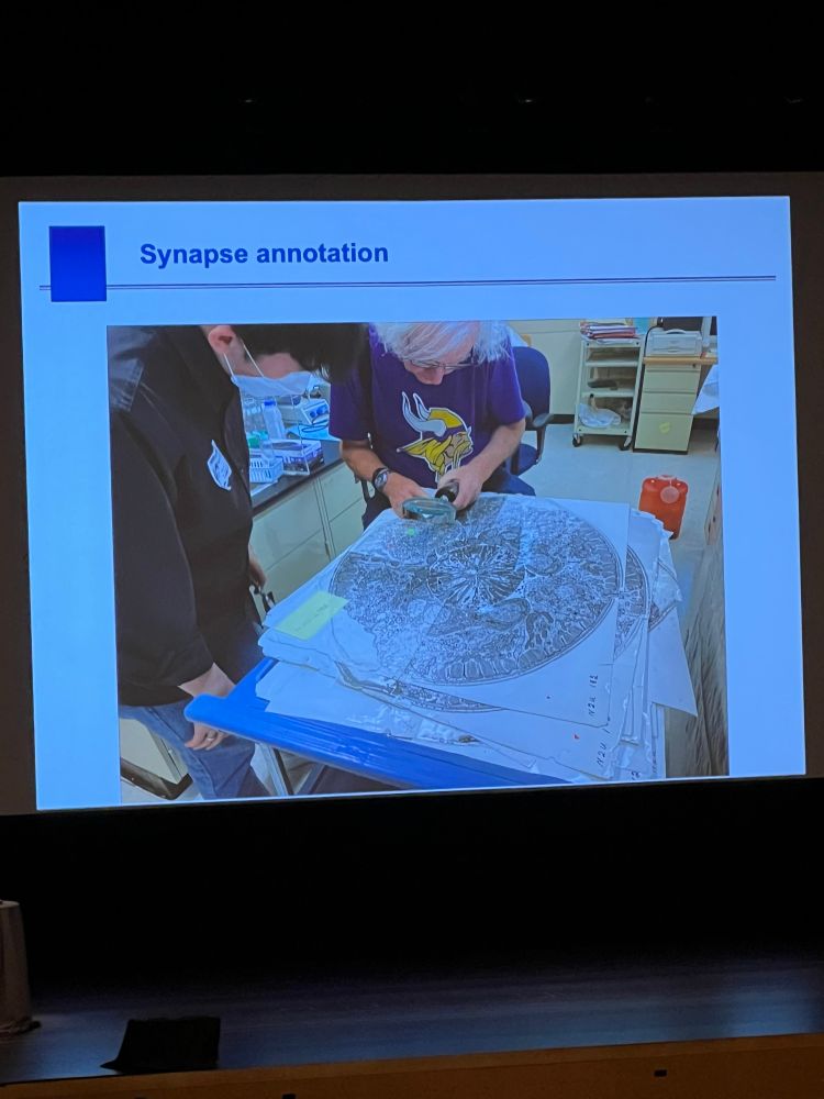 image of david hall looking at EM serial sections to determine synapses 