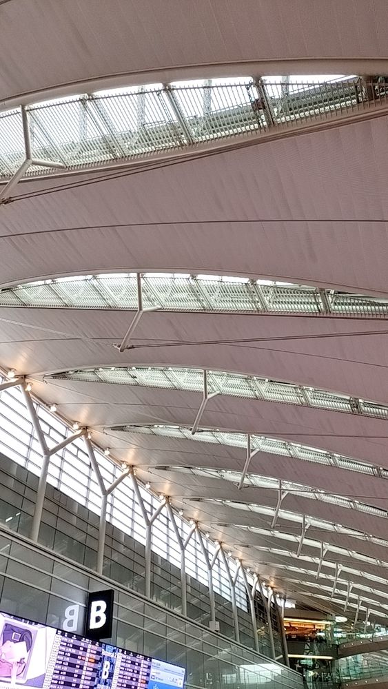 羽田空港の天井　横で家族連れのおこちゃまが「キレイだねえ」と言ってました