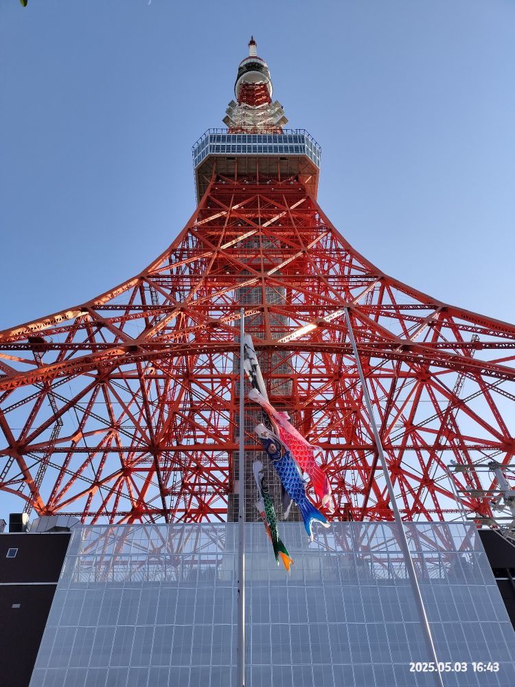 鯉のぼりと東京タワー