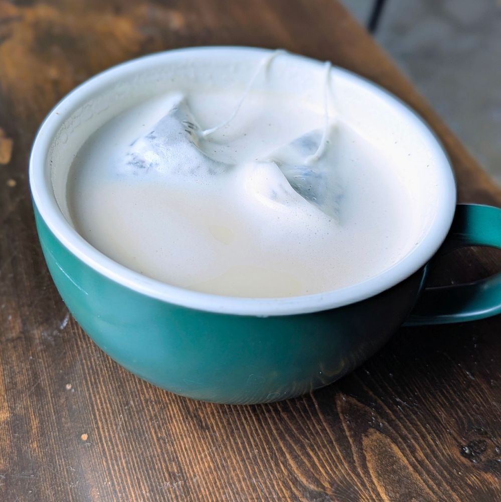 A Kyoto smoke latte in a green mug bigger than some restaurant's side soup would be served in, with two tea bags floating in the foam. 