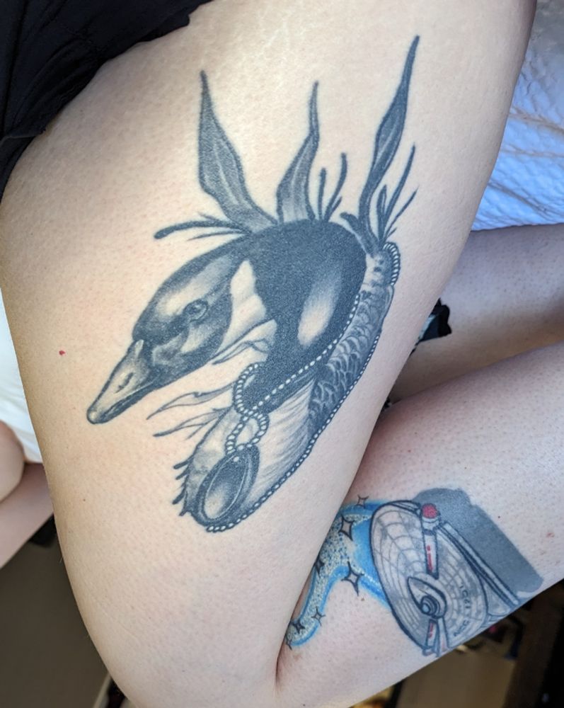 Two for one on the same leg:

On the upper thigh, a black and grey Canada Goose head and neck with some weeds behind it. She is wearing a large pendant in a pearl necklace that wraps around and forms a sort of frame to the portrait.

On the calf is a colour rendition of the NCC-1701 Millennium Enterprise. It is a slightly sleeker version of the Millennium Falcon without all the greeblies, done up in the colours and markings of the Original Series Enterprise. Behind it is a curving blue warp trail that appears to glitter, as a tribute to Carrie Fisher. 
