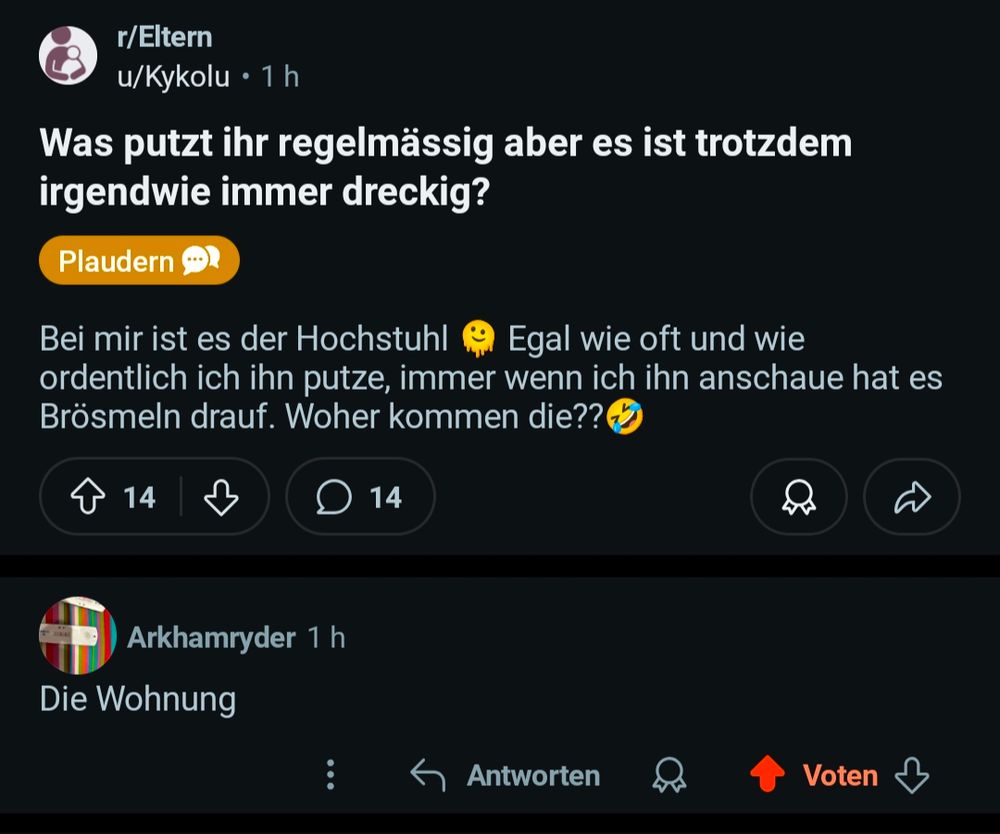 Reddit Screenshot. Was putzt ihr regelmäßig? Erste Antwort: die Wohnung 