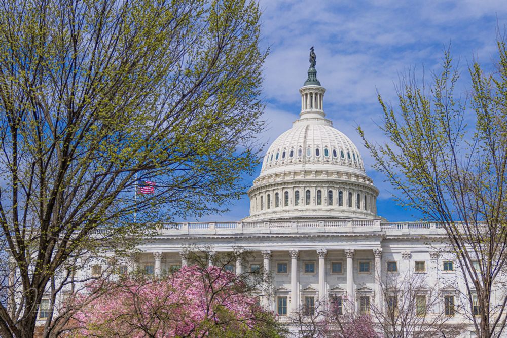 The U.S. Capitol Building in the springtime. The trees have fresh green leaves and pink blossoms. 