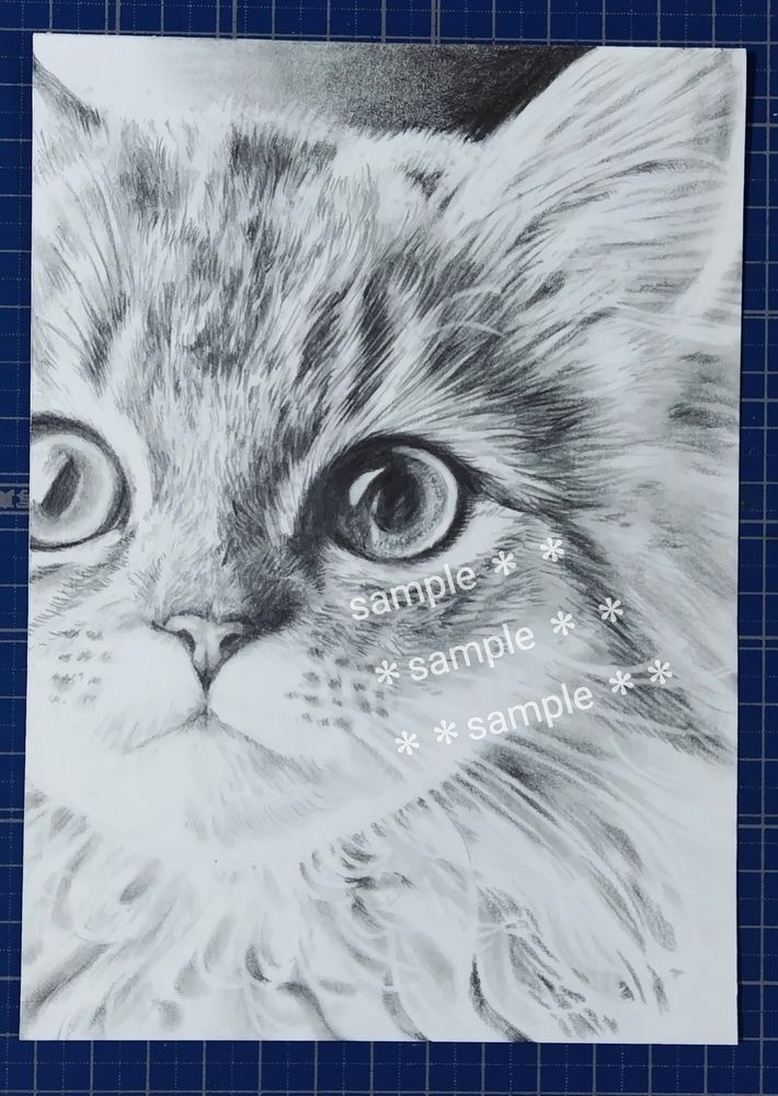 原画：宙を歩く～光を知った猫～（サイズ：F8号（額縁含む 横