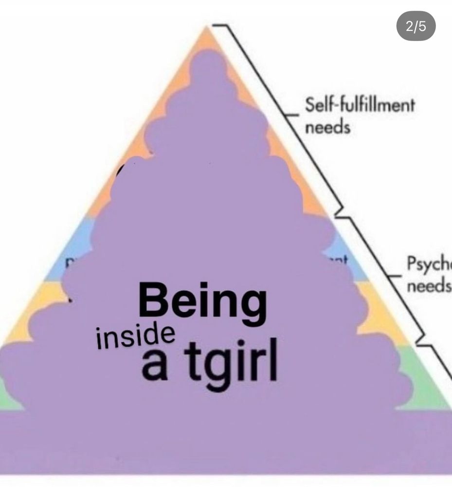 Hierarchy of needs graph with the whole thing filled out for one need: Being inside a tgirl