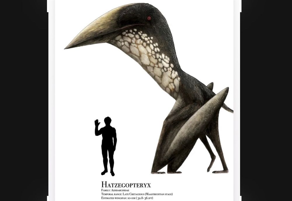 Post image (had no alt text on Bluesky)