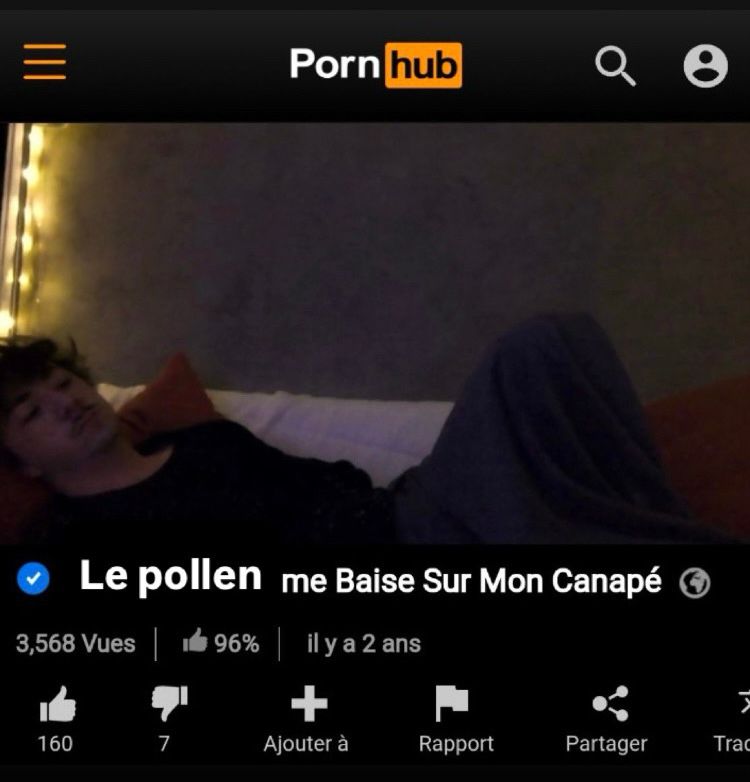 "Le pollen me baise sur mon canapé" : titre modifié d’une vidéo pornhub (c’est un meme)