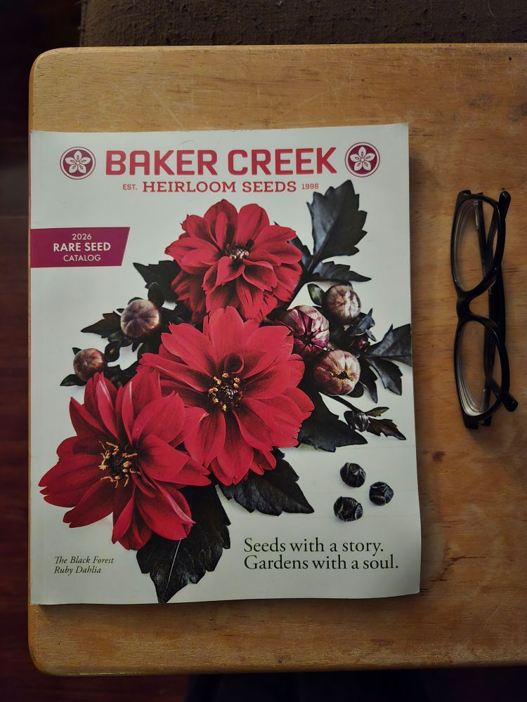 Baker Creek heirloom seeds catalog 2026