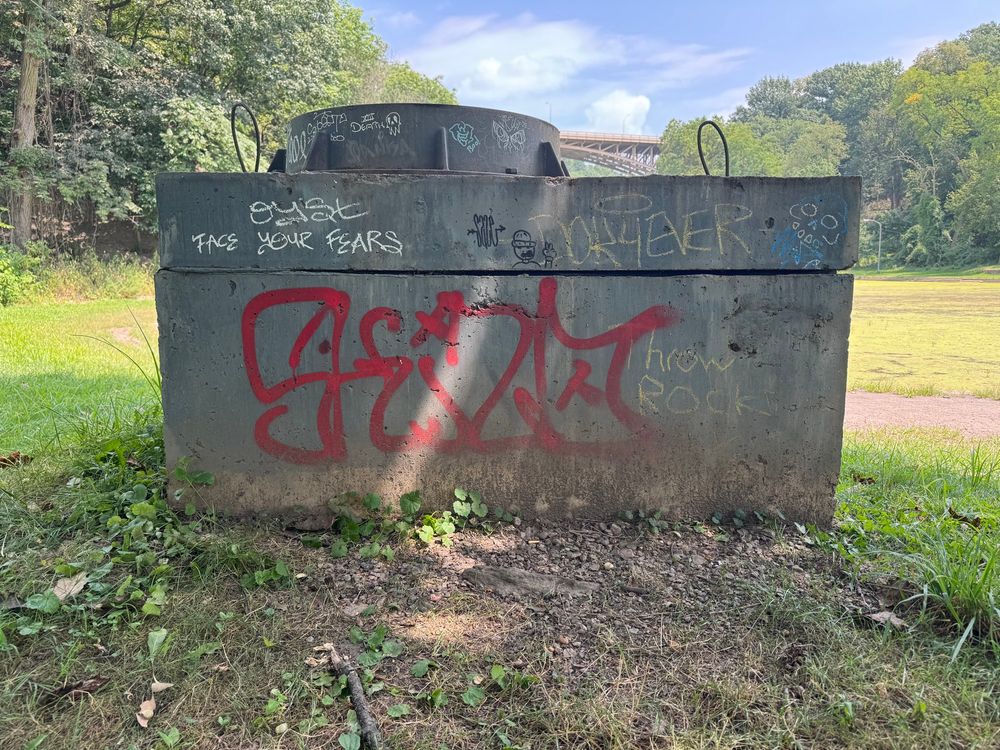 graffiti on a concrete structure "face your fears" top left. "throw rock" middle right