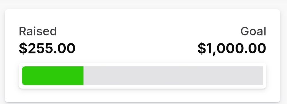 A green progress bar with text raised 255.00 on the left side and goal 1,000 on the right side.