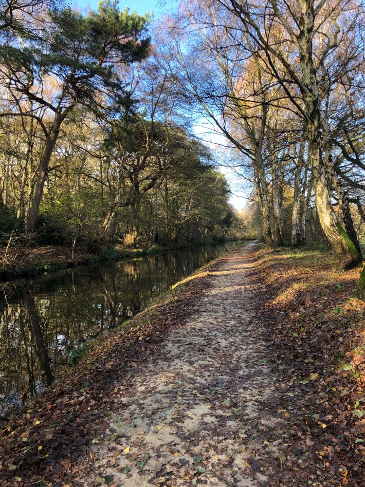 Autumn leaves and trees along the canal and towpath