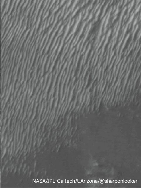 Greyscale animated gif showing approximately the same area on Mars as seen on 2012, 2021 (year of Perseverance landing) and 2024. A crater impact and ejecta appears on a megaripple field, with apparent degradation on the last frame. Superimposed credit line: NASA/JPL-Caltech/UArizona/@sharponlooker