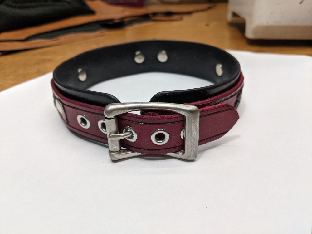 A back view of the collar, showing the buckle. It is mounted on the outer, red strap