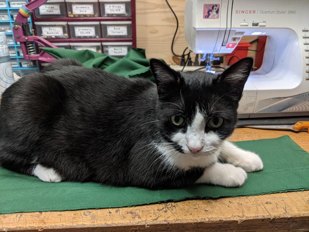 A workbench with a sewing machine and a half finished project in the background. In front of it is a large Tuxedo Cat, laying on a piece of fabric