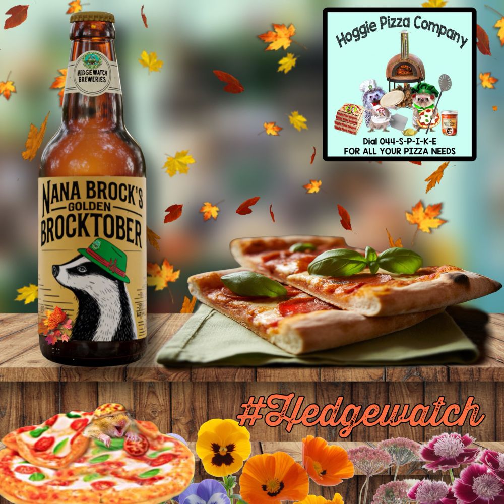 Nana Brock’s Golden Brocktober beer and a serviette with slices of pizza.