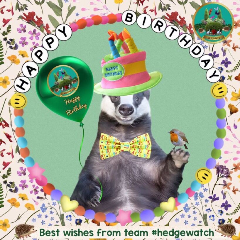 Comment image