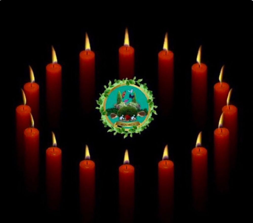 Hedgewatch logo in the centre of a ring of red lit candles on a black background.