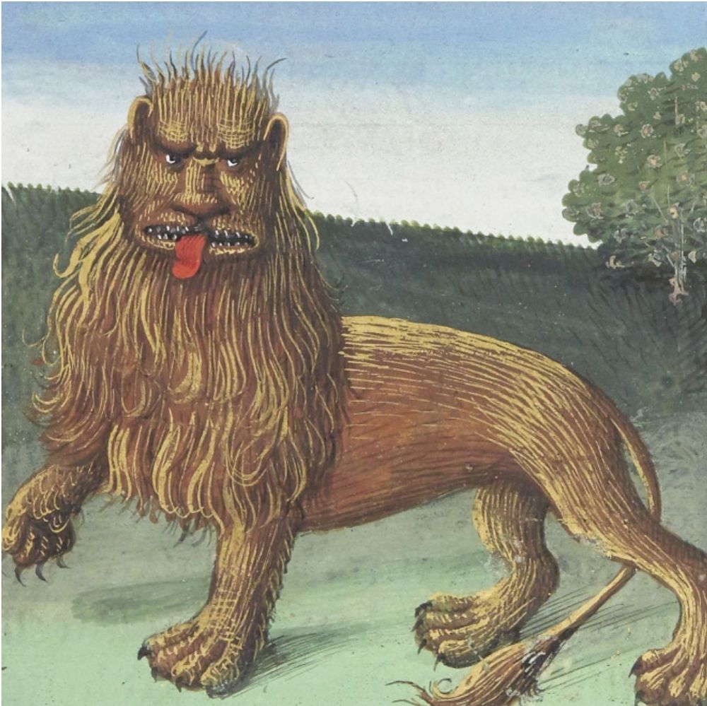 A likely medieval illustration of a lion. It has its tongue out and has an oddly human face.