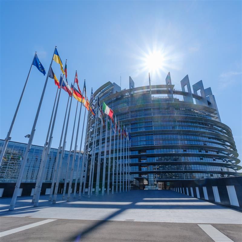 Behind-the-scenes photos from this week's plenary session at the European Parliament.
