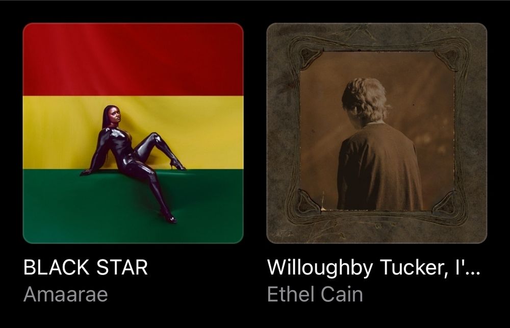 Amaarae - BLACK STAR
Ethel Cain - Willoughby Tucker, I'll Always Love You