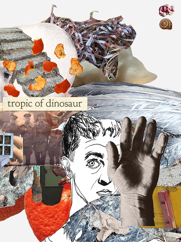 Rather abstract photo collage with a drawn face, old photo, bird's wing, photo of a hand, pieces of tangerin cover and the title saying "tropic of dinosaur"