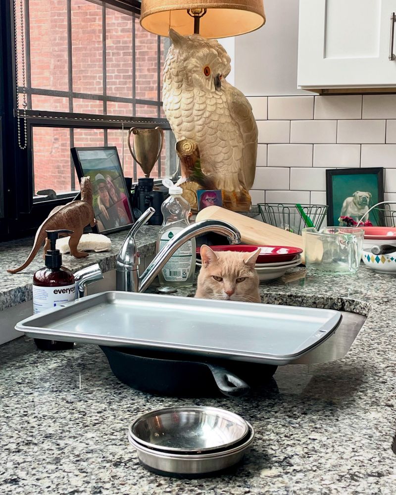 A messy kitchen counter with an orange cat in the sink w just the top half of his face showing.