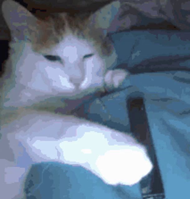 a cat laying on a blue blanket with its paw on a remote control