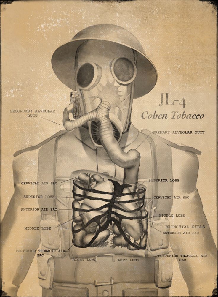 A faux medical illustration showcasing a soldier wearing a gas mask augmented with miniature organs. The internal anatomy includes ribs, lungs, pseudo alveoli, with their names labelled to the side. 