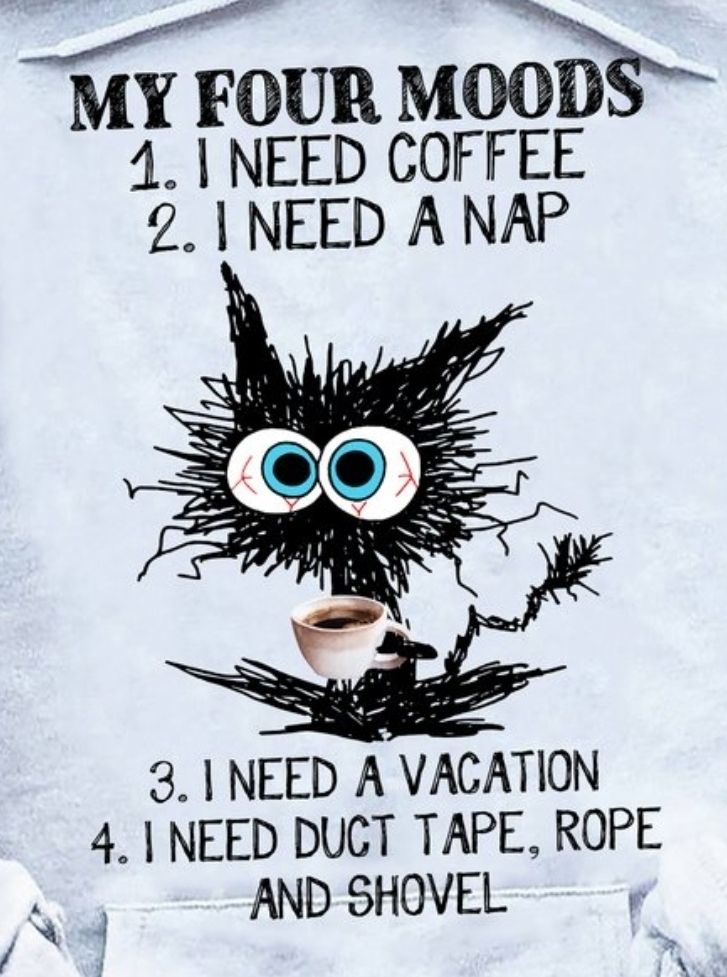 Sitzende Kritzelcomic-Katze mit aufgerissenen Augen und Kaffeetasse in der Pfote. Text: Meine 4 Gemütszustände: 1) Brauche Kaffee, 2) brauche 1 Nickerchen, 3) brauche Urlaub, 4) brauche Klebeband, Seil und ne Schaufel
