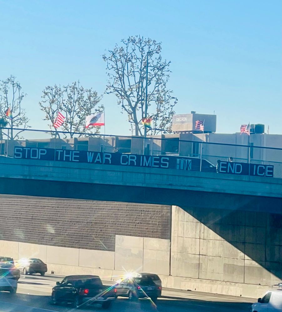Freeway overpass messages with protesters waving to drivers below. Flags flying high overhead. 