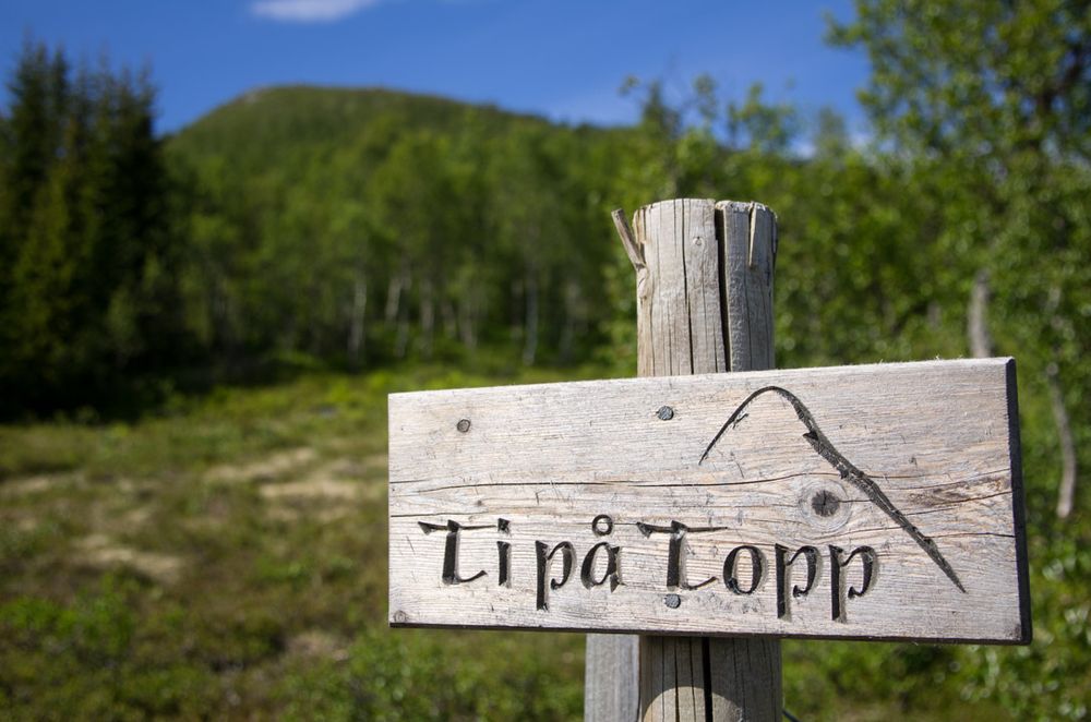 Photo of a wooden sign carved "Ti på topp" with a grassy hill in the back

