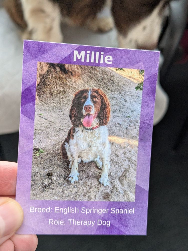 The same dog's card, with a picture of her and her facts:

Millie
Breed: English Springer Spaniel
Role: Therapy Dog