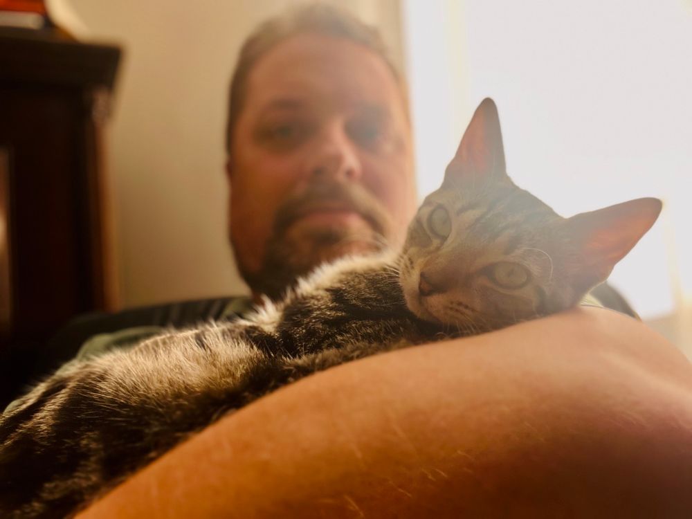 I’m blurry in the background behind Baba Gril, the baby we have collected to (hopefully) deliver to Grandpa and Grandma later this year. She’s a gray tabby with a leonine face and yellow eyes. I’m in the background, bearded and blurry.