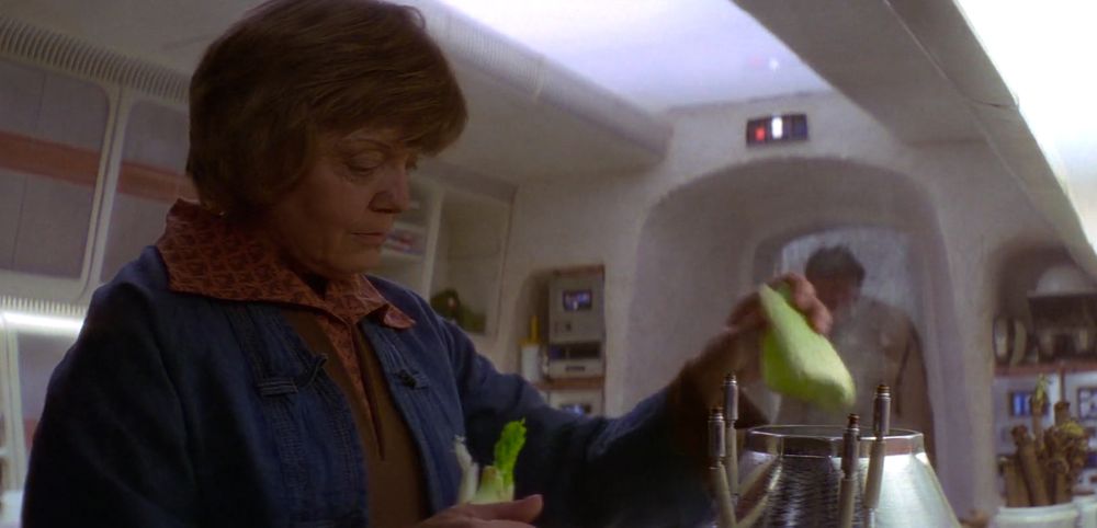 Aunt Beru from Star Wars places heads of bok choy in a futuristic steamer. Uncle Owen enters from the far side of the room, to ask if Luke will have those new droids up on the south ridge by midday. Naturally, if Luke doesn't, there'll be hell to pay.