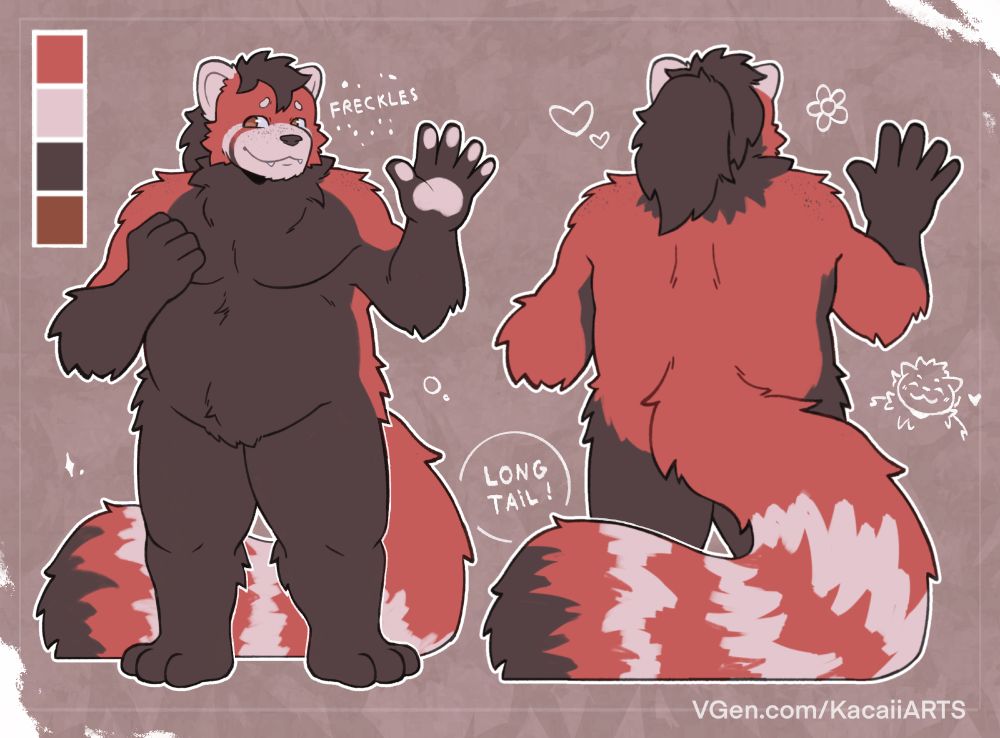 Reference sheet for a Red Panda