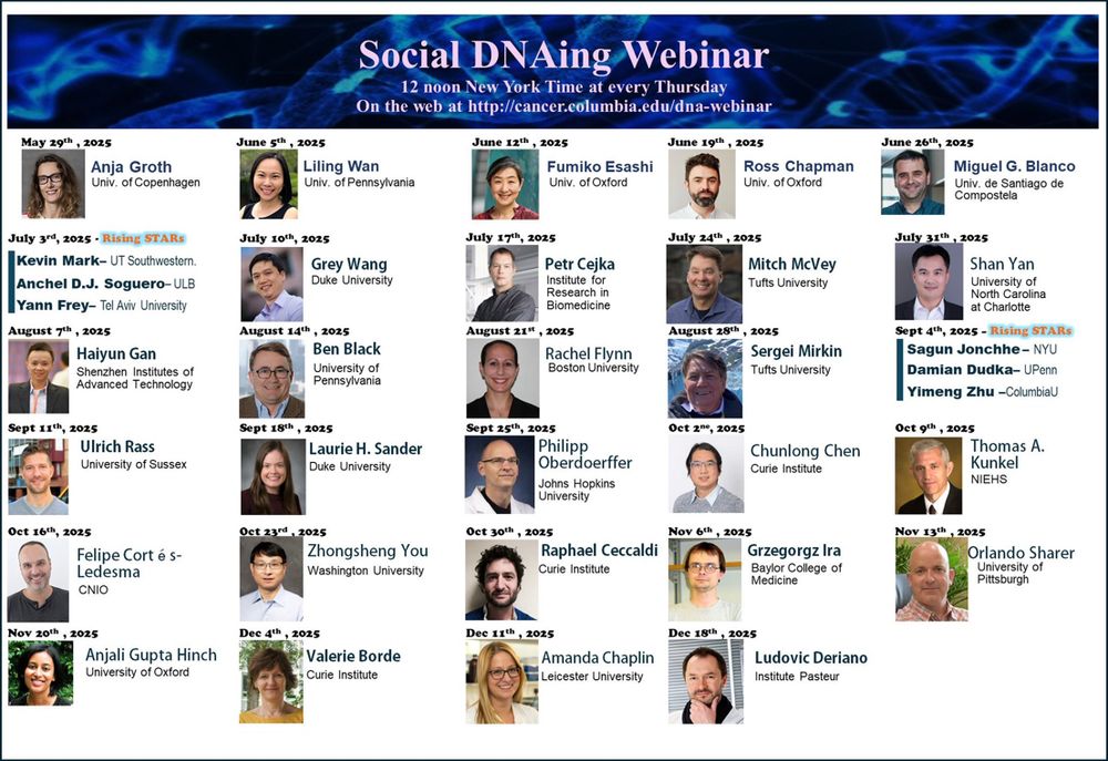 Social DNAing June to Dec 2025