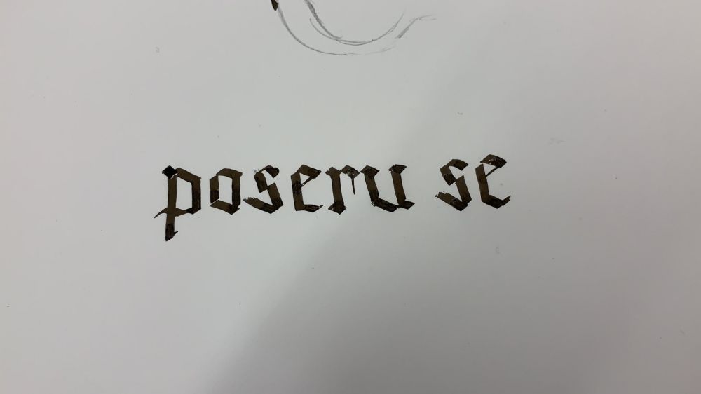 POSERU SE