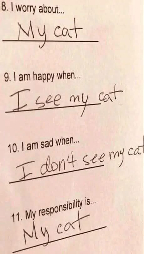 (A test)

8. I worry about...
My cat
9. I am happy when...
I see my cat
10. I am sad when...
I don't see my cat
11. My responsibility is...
My cat