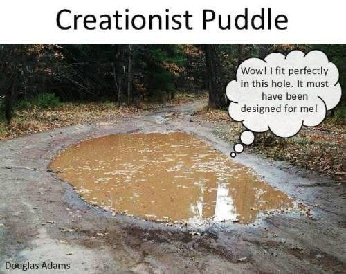 (A large muddy pudding of water)
Creationist Puddle
Wow! I fit perfectly in this hole. It must have been designed for me!
Douglas Adams