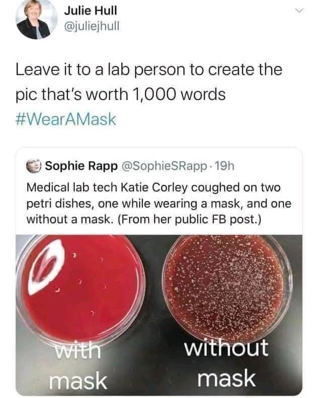 Julie Hull
@juliejhull
Leave it to a lab person to create the pic that's worth 1,000 words
#WearAMask
Sophie Rapp @SophieSRapp - 19h
Medical lab tech Katie Corley coughed on two petri dishes, one while wearing a mask, and one without a mask. (From her public FB post.)
with mask (no culture seen)
without mask (LOTS of bacteria culture)