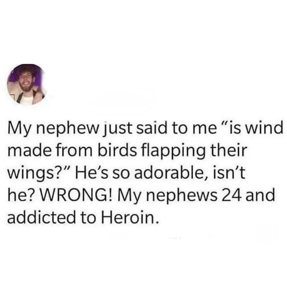 My nephew just said to me 