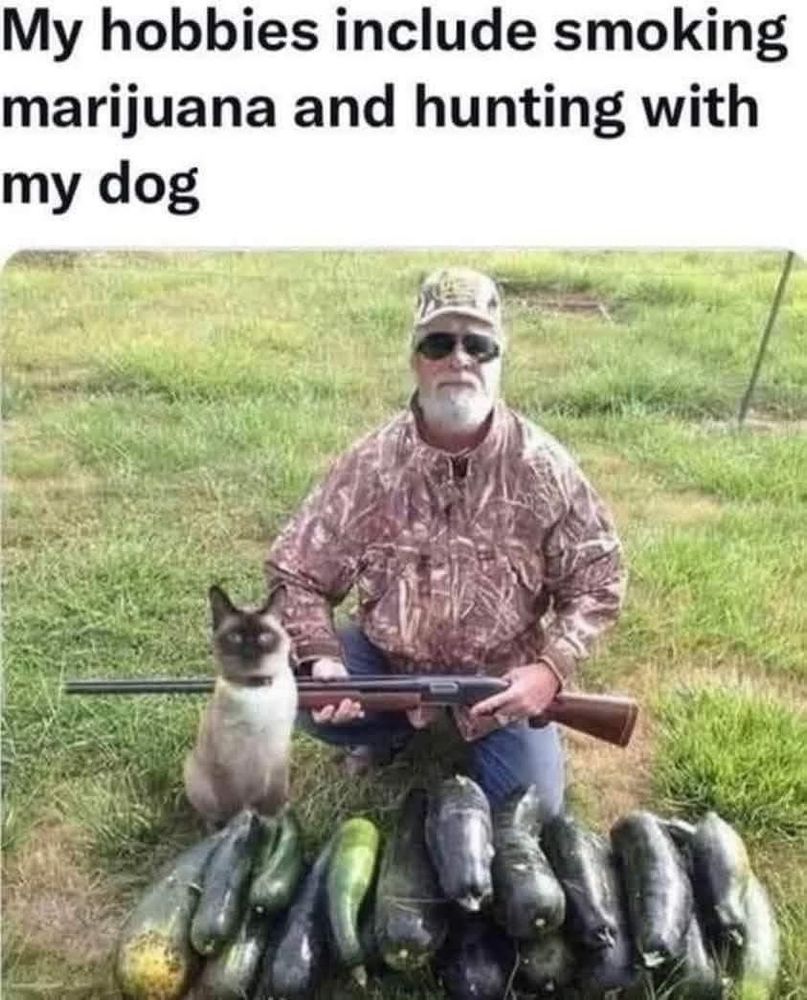 My hobbies include smoking marijuana and hunting with my dog
(A guy holding a shotgun next to his cat, and a pile of cucumbers)