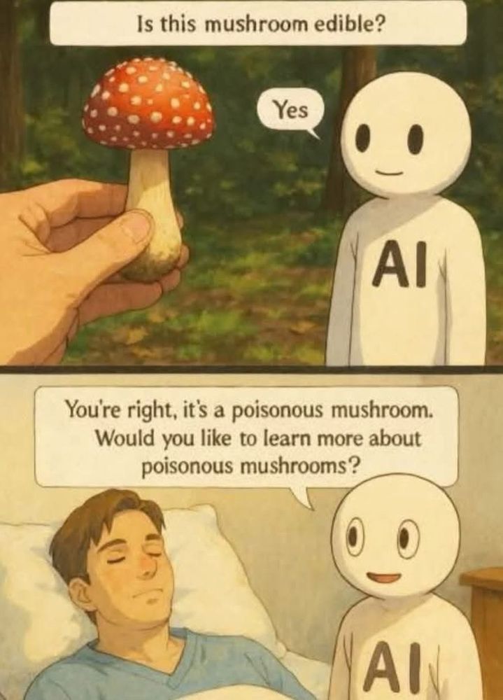 (Man) Is this mushroom edible?
(AI) Yes
(Man lying unconscious)
(AI) You're right, it's a poisonous mushroom.
Would you like to learn more about poisonous mushrooms?